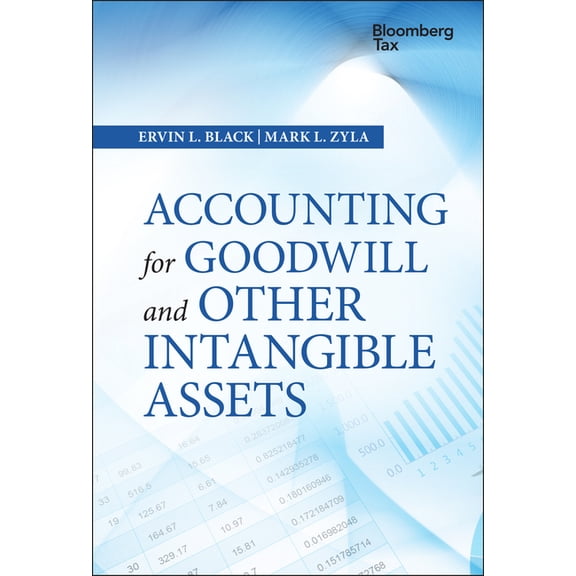 Wiley Corporate F&a Accounting for Goodwill and Other Intangible Assets, (Hardcover)