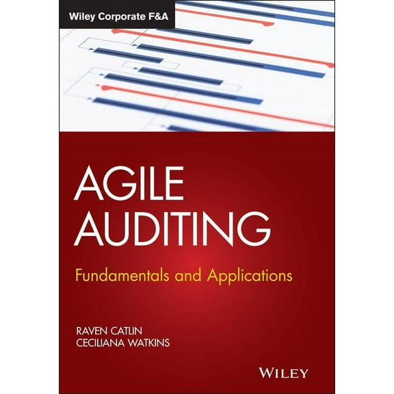 Wiley Corporate F&a Agile Auditing: Fundamentals and Applications, (Hardcover)