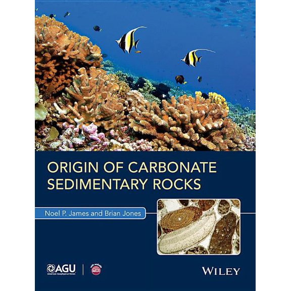 Wiley Works Origin of Carbonate Sedimentary Rocks, (Paperback)