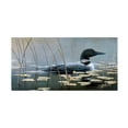 thumbnail image 1 of Trademark Fine Art Wilhelm Goebel Loon In Reeds Canvas Wall Art - 12x24, 1 of 5
