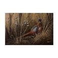 thumbnail image 1 of Trademark Fine Art Wilhelm Goebel Pheasant In The Grass Canvas Wall Art - 12x19, 1 of 5