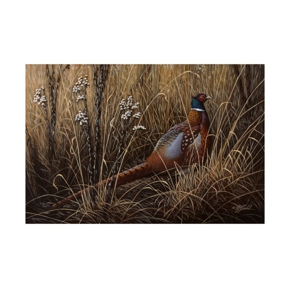 Trademark Fine Art Wilhelm Goebel Pheasant In The Grass Canvas Wall Art - 16x24