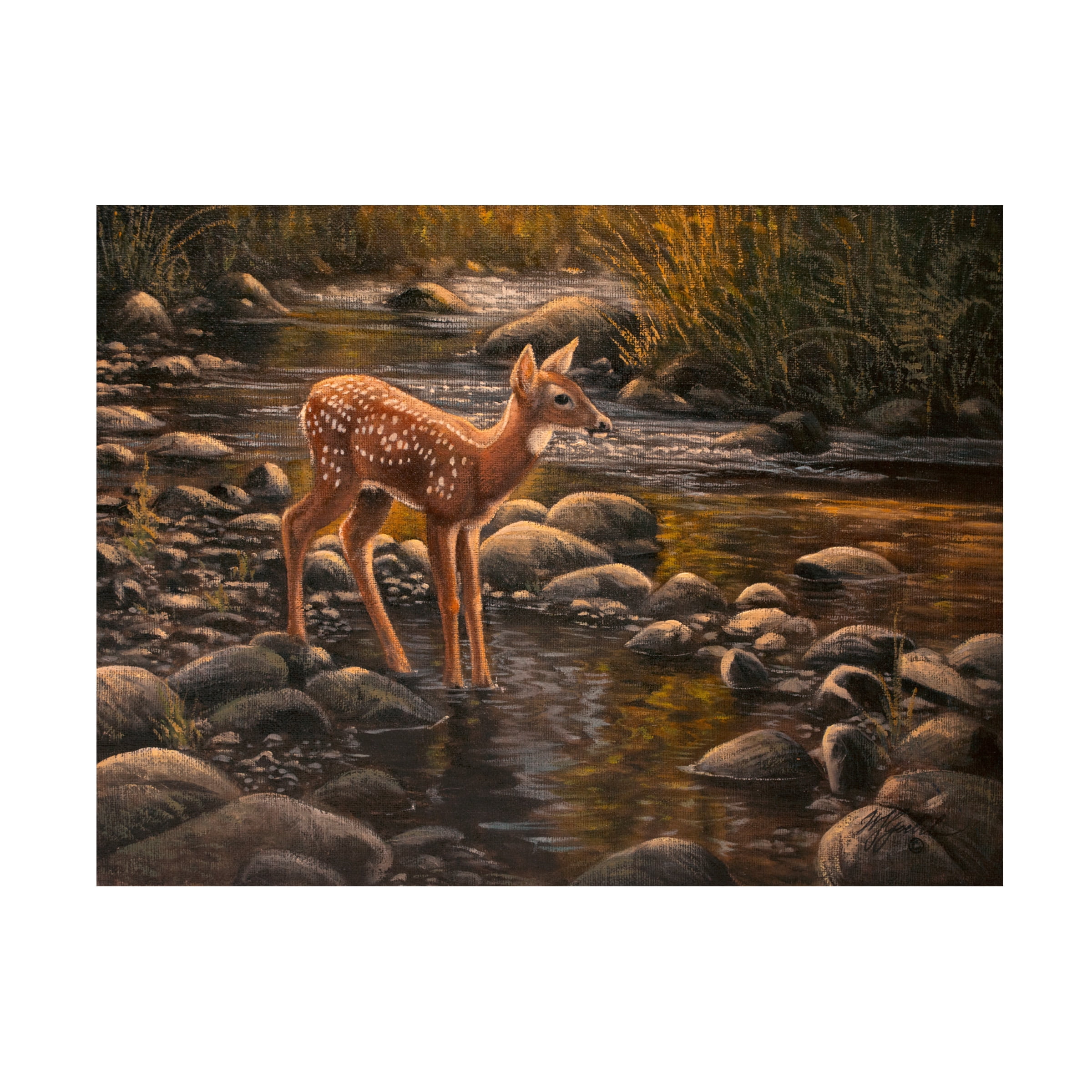 Wilhelm Goebel 'Waters Edge Fawn' Canvas Art