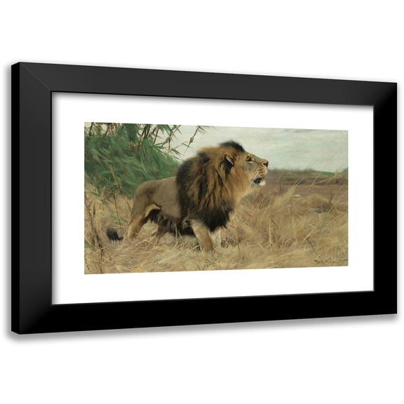 Wilhelm Kuhnert 14x10 Black Modern Framed Museum Art Print Titled - Beberlowe (Berber Lion)