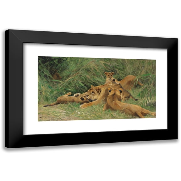 Wilhelm Kuhnert 14x10 Black Modern Framed Museum Art Print Titled - Playing Lion (Approx. 1917-1926)