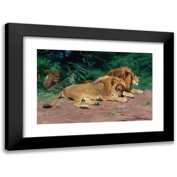 Wilhelm Kuhnert 14x11 Black Modern Framed Museum Art Print Titled - Resting Lions (Lions at Rest)
