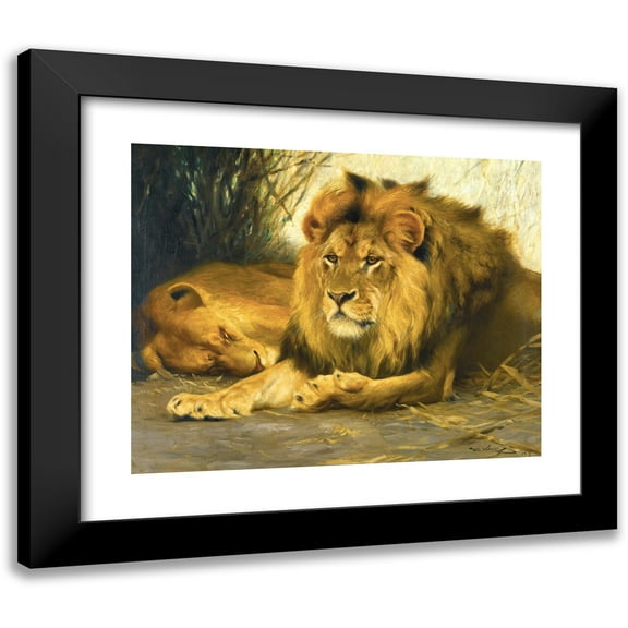 Wilhelm Kuhnert 14x12 Black Modern Framed Museum Art Print Titled - Resting Lions (1913)