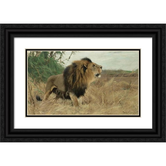 Wilhelm Kuhnert 24x15 Black Ornate Framed Double Matted Museum Art Print Titled: Beberlowe (Berber Lion)