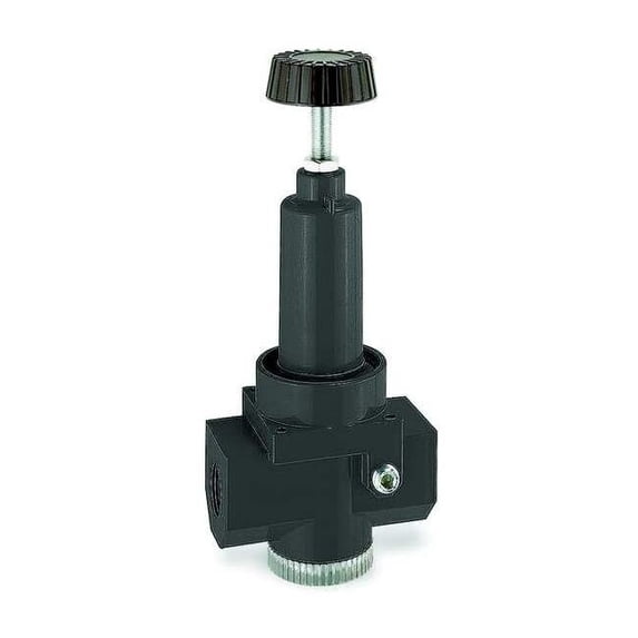 Wilkerson Air Regulator,3/4 In NPT,470 cfm,300 psi R30-06-000