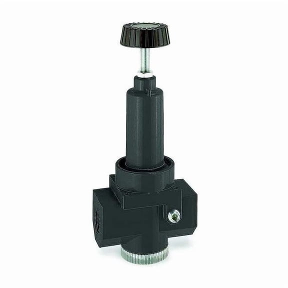 Wilkerson Air Regulator,3/4 In NPT,470 cfm,300 psi R30-06-000
