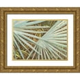 thumbnail image 1 of Wilkins, Suzanne 32x25 Gold Ornate Wood Framed with Double Matting Museum Art Print Titled - Suave Fronds, 1 of 4