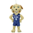 thumbnail image 1 of Will D. Cat Villanova Wildcats Ornament Bobblehead Ornament NCAA, 1 of 1