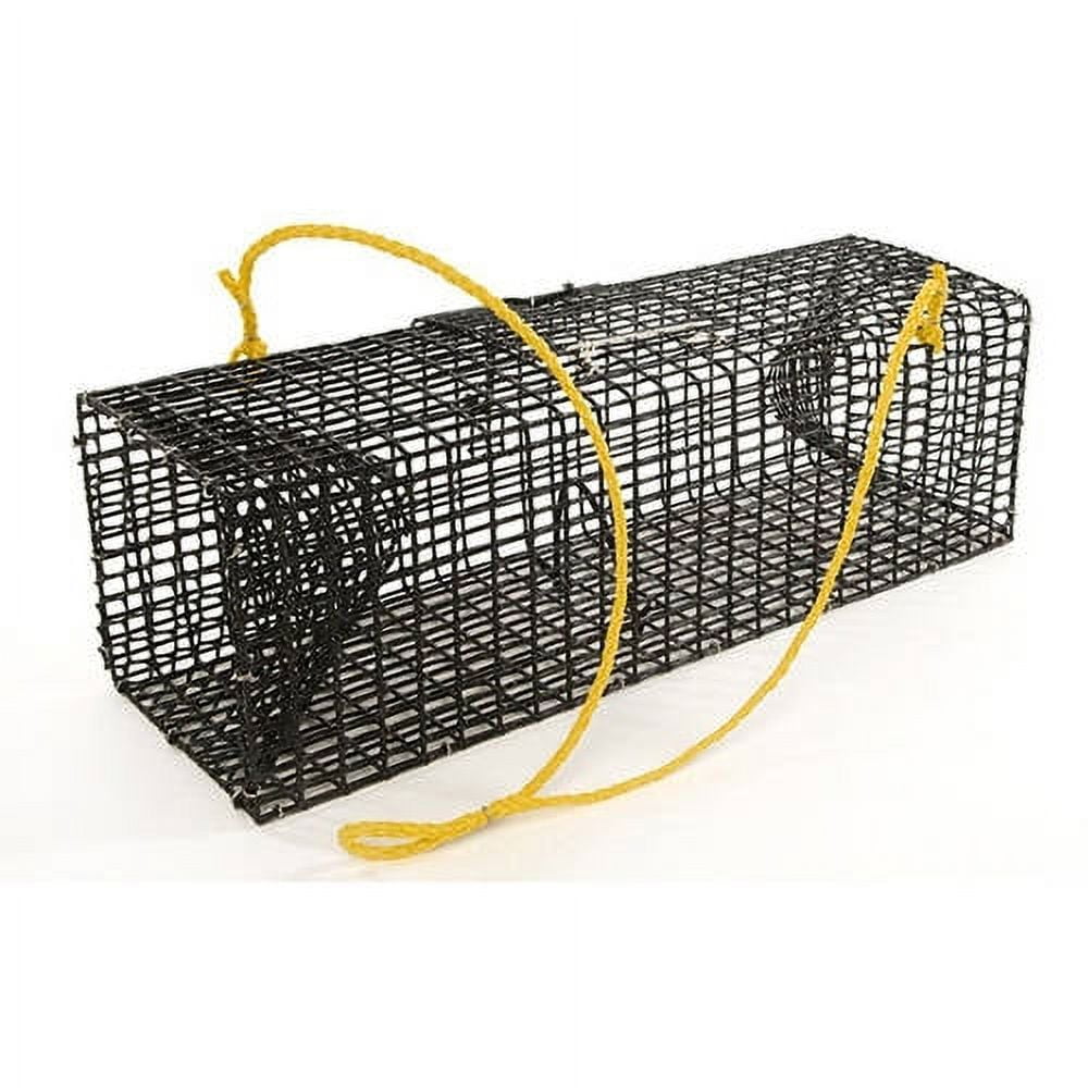 Willapa's Crawfish Trap