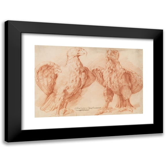 Willem Panneels 14x11 Black Modern Framed Museum Art Print Titled - Eagle. Two Studies of an Antique Sculpture; Front View Half Turned to the Right, and Front View Half Turned to the Left (1