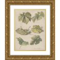 thumbnail image 1 of Willem van Leen 12x14 Gold Ornate Wood Frame and Double Matted Museum Art Print Titled - Studies of Wingerdbladen (1796), 1 of 4