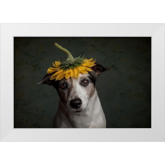Willers, Heike 14x11 White Modern Wood Framed Museum Art Print Titled - Does She Realize She Looks Like A Sunflower....