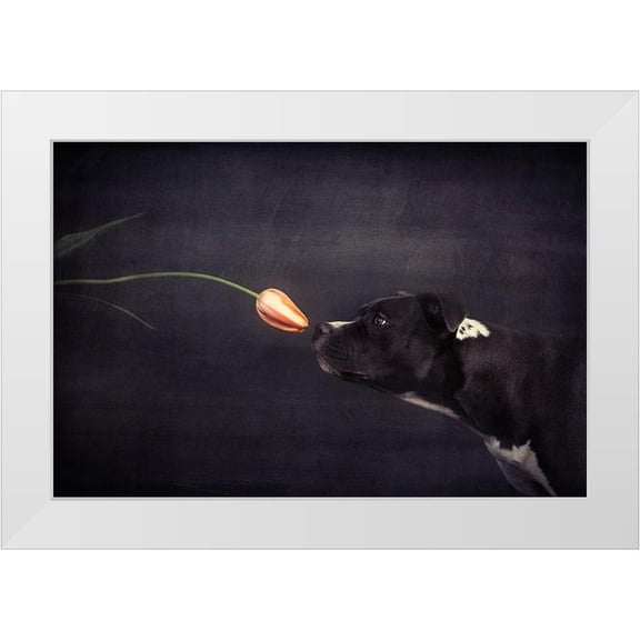 Willers, Heike 14x11 White Modern Wood Framed Museum Art Print Titled - First Approach - Hildegard And The Tulip