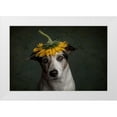 thumbnail image 1 of Willers, Heike 18x13 White Modern Wood Framed Museum Art Print Titled - Does She Realize She Looks Like A Sunflower...., 1 of 4