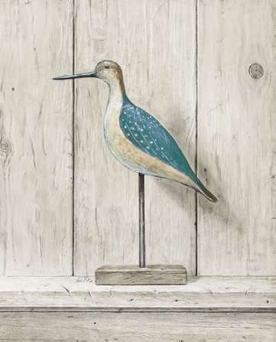 Willet Canvas Art - Arnie Fisk (20 x 24)