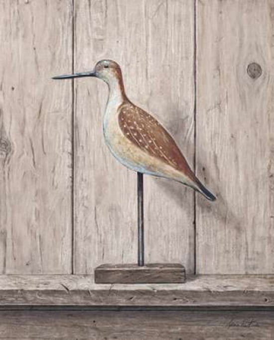 Willet Canvas Art - Arnie Fisk (20 x 24)