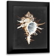 thumbnail image 1 of Willett, Michael 15x18 Black Modern Framed Museum Art Print Titled - Graphic Black Murex, 1 of 5