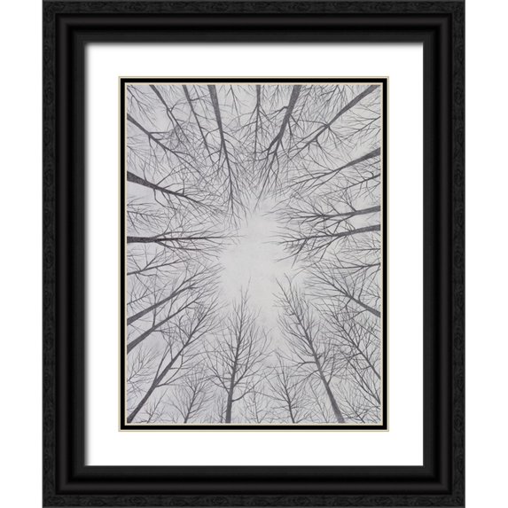 Willett, Michael 15x18 Black Ornate Wood Framed with Double Matting Museum Art Print Titled - Deciduous Canopy II