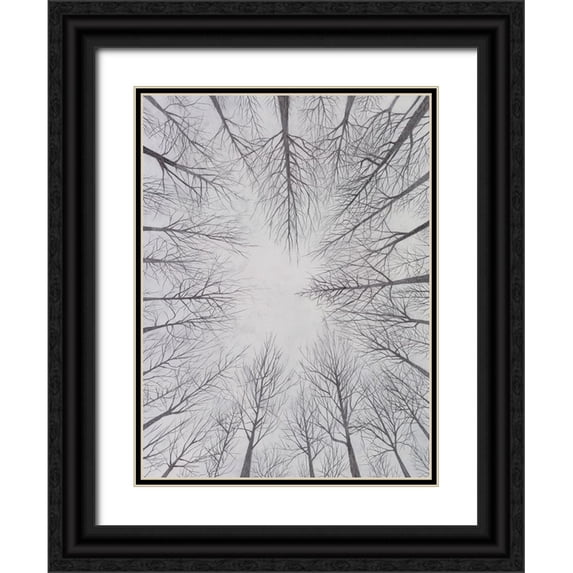 Willett, Michael 15x18 Black Ornate Wood Framed with Double Matting Museum Art Print Titled - Deciduous Canopy I