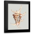 thumbnail image 1 of Willett, Michael 20x24 Black Modern Framed Museum Art Print Titled - Spider Conch, 1 of 5