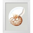 thumbnail image 1 of Willett, Michael 20x24 White Modern Wood Framed Museum Art Print Titled - Nautilus, 1 of 4
