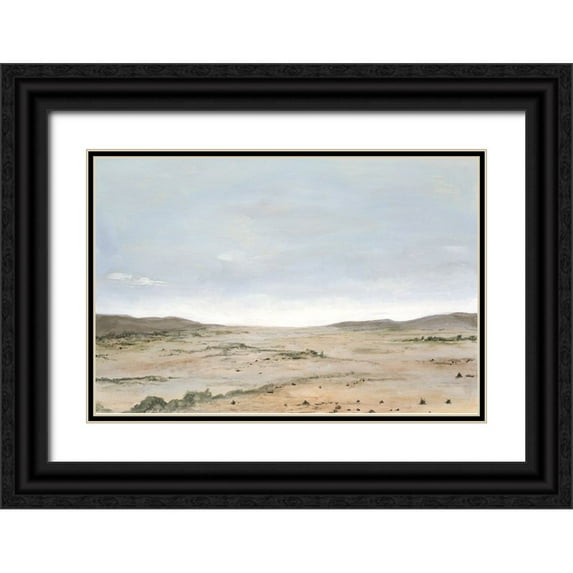 Willett, Michael 32x23 Black Ornate Wood Framed with Double Matting Museum Art Print Titled - Arid Vista II