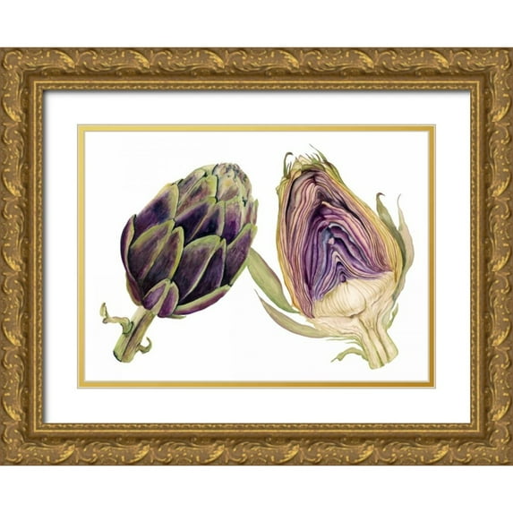 Willett, Michael 32x24 Gold Ornate Wood Framed with Double Matting Museum Art Print Titled - Watercolor Artichoke