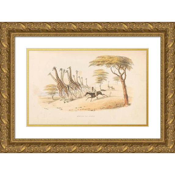 William Cornwallis Harris 14x11 Gold Ornate Wood Frame and Double Matted Museum Art Print Titled - The Wild Sports of Southern Africa (1844)
