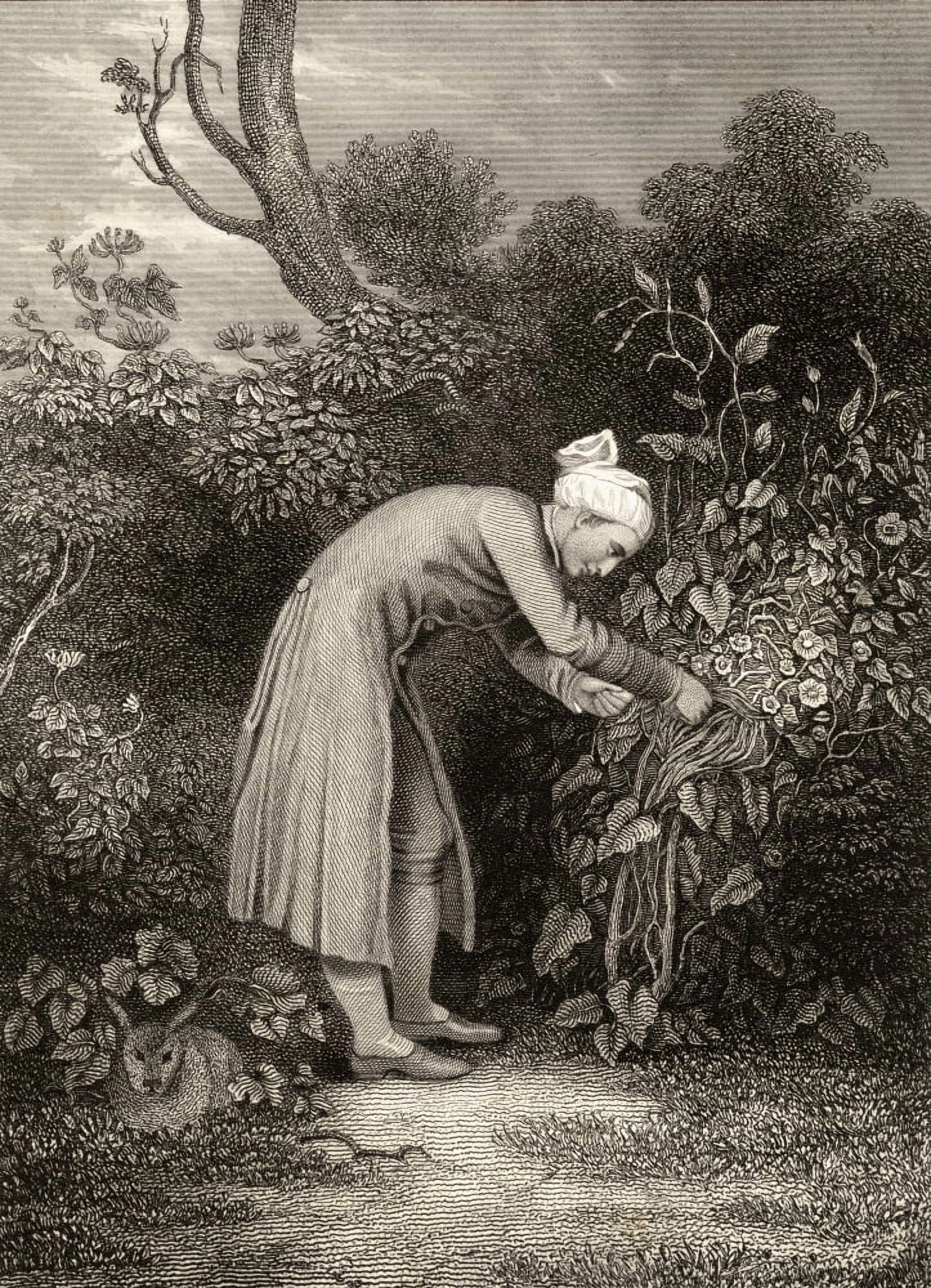 William Cowper 1731-1800 Cowper In His Garden Enlgish Poet 19Th Century Print From An Original Drawing By GH Smith Canvas Art - Ken Welsh Design Pics (26 x 34)