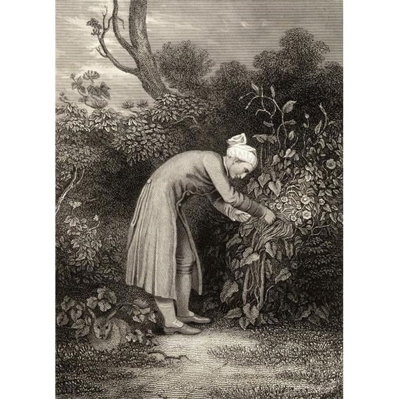 William Cowper 1731-1800 Cowper In His Garden English Poet 19th Century From An Original Drawing by GH Smith Poster Print - Large - 26 x 34