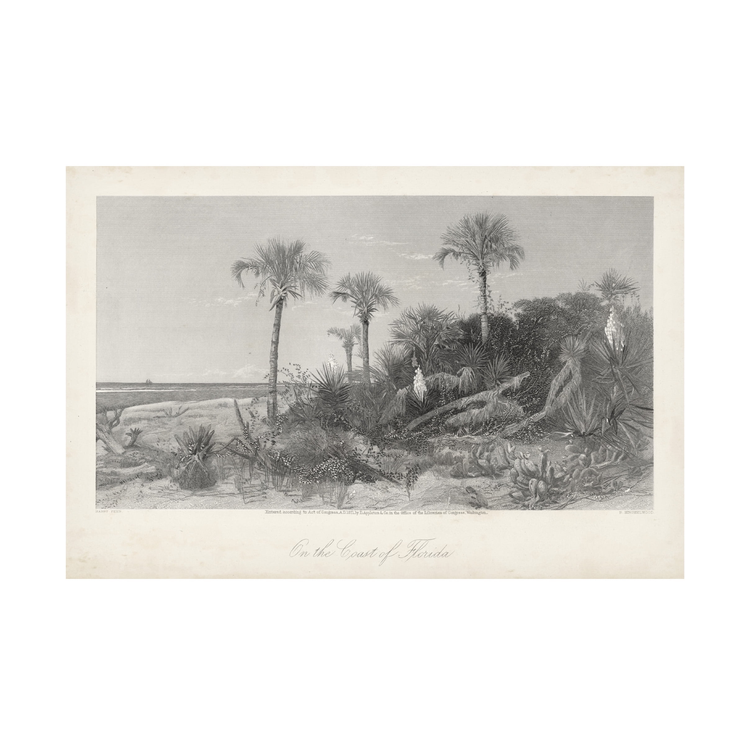 William Cullen Bryant 'On The Coast Of Florida' Canvas Art