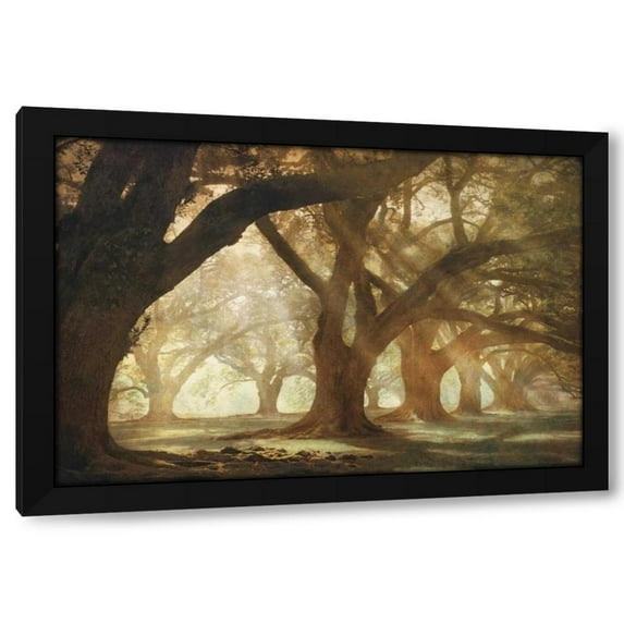 William Guion 14x11 Black Modern Wood Framed Wall Art Titled - Oak Alley Morning Light
