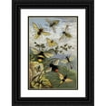 thumbnail image 1 of William Houghton 13x18 Black Ornate Wood Framed Double Matted Museum Art Print Titled - Hymenoptera (1877), 1 of 5
