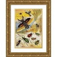 thumbnail image 1 of William Houghton 13x18 Gold Ornate Wood Frame and Double Matted Museum Art Print Titled - Coleoptera (1877), 1 of 4
