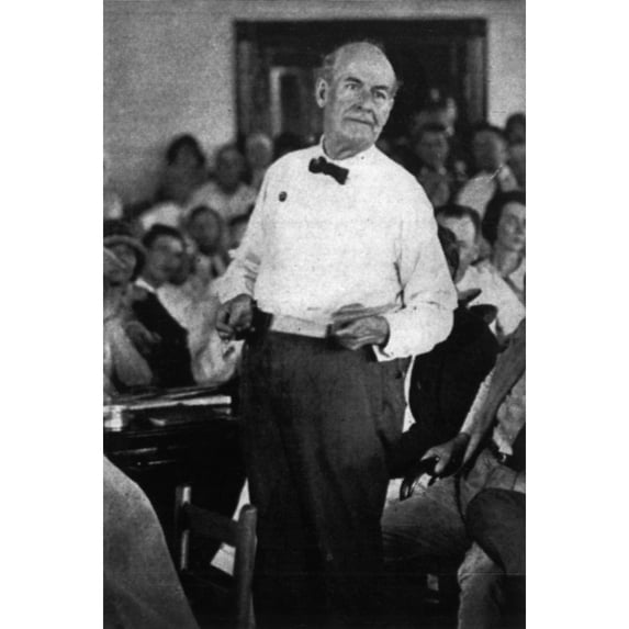 William Jennings Bryan (1860-1925) History (18 x 24)