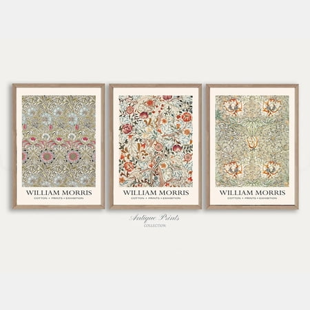 William Morris Floral Plant Pattern Neutral Vintage Wall Art Set 3 Unframed Paper Print 8x12