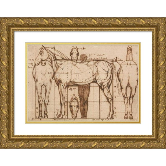 William Mulready 14x11 Gold Ornate Wood Frame and Double Matted Museum Art Print Titled - Anatomical Study of a Horse