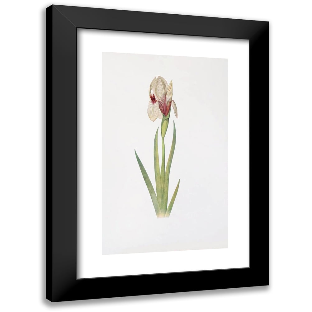 William Rickatson Dykes 10x14 Black Modern Framed Museum Art Print