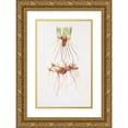 thumbnail image 1 of William Rickatson Dykes 11x14 Gold Ornate Wood Frame and Double Matted Museum Art Print Titled - Rhizomes of a Pogoniris and of a Regelia Iris (1913), 1 of 4