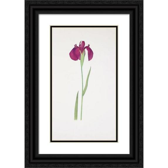 William Rickatson Dykes 15x24 Black Ornate Framed Double Matted Museum Art Print Titled: Iris Kaempferi (1913)