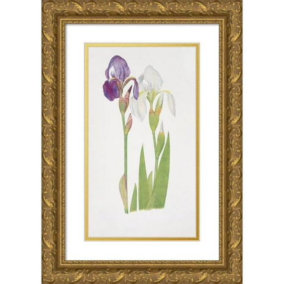 William Rickatson Dykes 16x24 Gold Ornate Framed and Double Matted Museum Art Print Titled - Iris Albicans and Iris Madonna (1913)