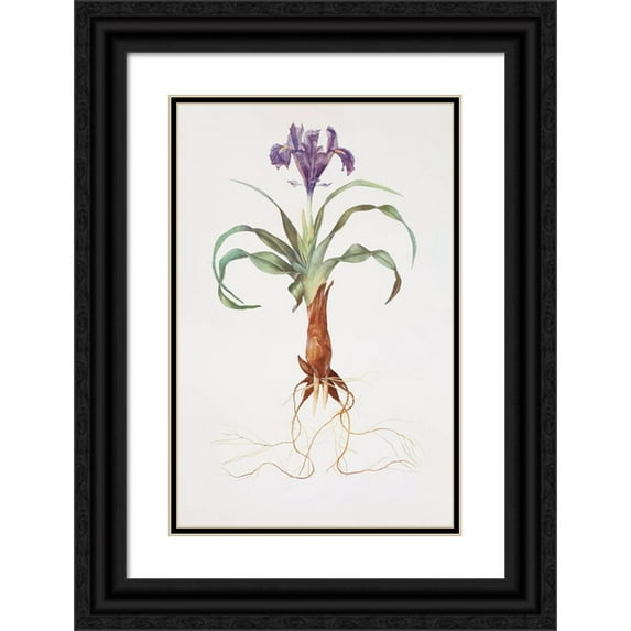 William Rickatson Dykes 17x24 Black Ornate Framed Double Matted Museum Art Print Titled: Iris Tools (1913)