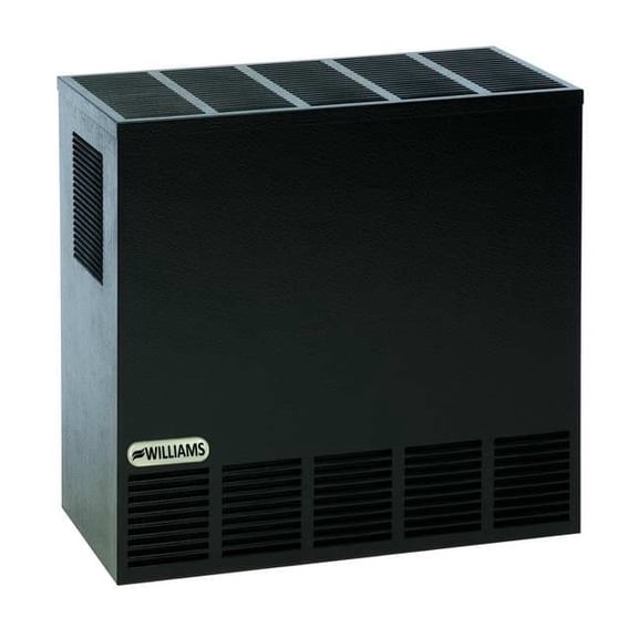 Hearth Heater, Natural Gas, Top Vent Vent Type, Gravity Convection