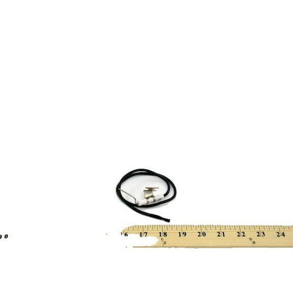 Williams Comfort Products P322276 Ignitor