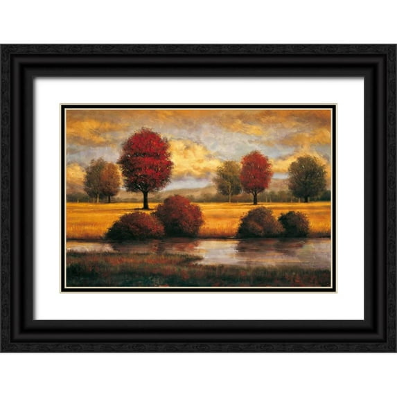 Williams, Gregory 18x13 Black Ornate Wood Framed with Double Matting Museum Art Print Titled - Serene II
