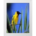 thumbnail image 1 of Williams, Joanne 12x14 White Modern Wood Framed Museum Art Print Titled - Kenya, Masai Mara Masked weaver bird on leaves, 1 of 4